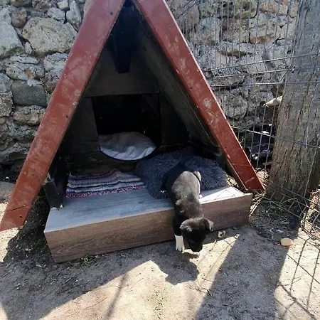 Magic Garden Vilă