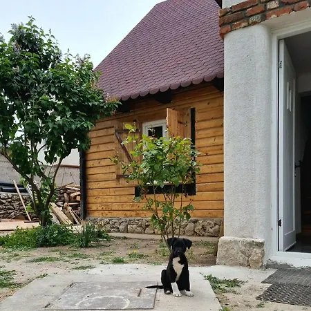 Magic Garden Vilă
